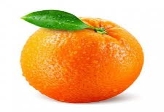 апельсин на белом фоне - Все шаблоны - Создать мем - Meme-arsenal.com
